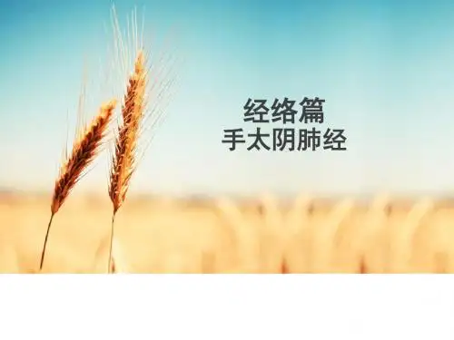 手太阴肺经