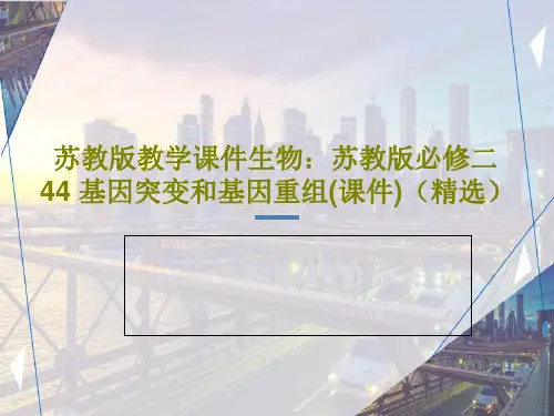 苏教版教学课件生物：苏教版必修二 44 基因突变和基因重组(课件)(精选)PPT42页