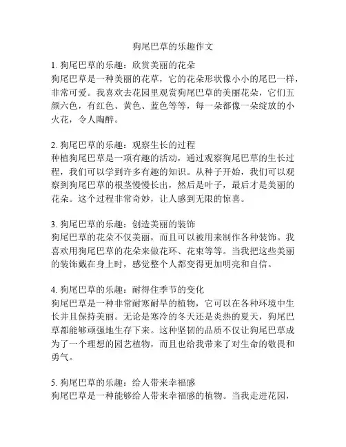 狗尾巴草的乐趣作文
