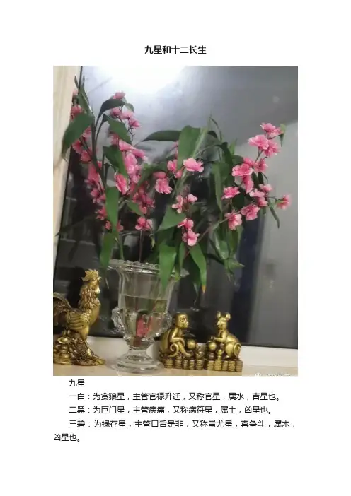 九星和十二长生