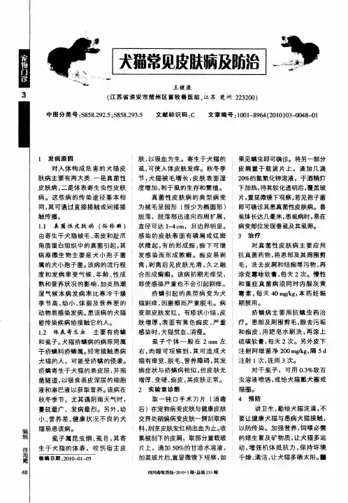 犬猫常见皮肤病及防治