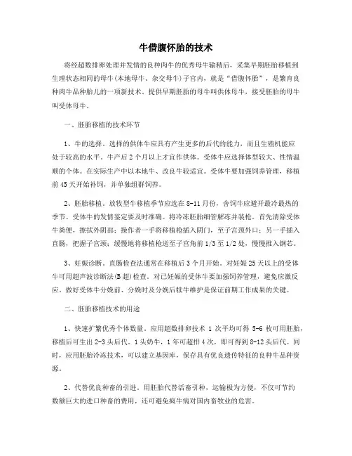牛借腹怀胎的技术