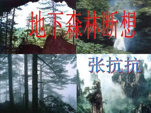 《地下森林断想》优质课课件