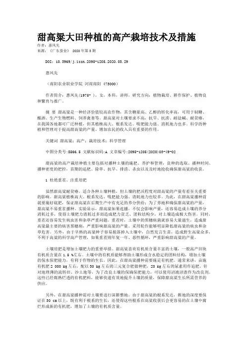甜高粱大田种植的高产栽培技术及措施