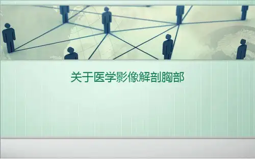 关于医学影像解剖胸部课件