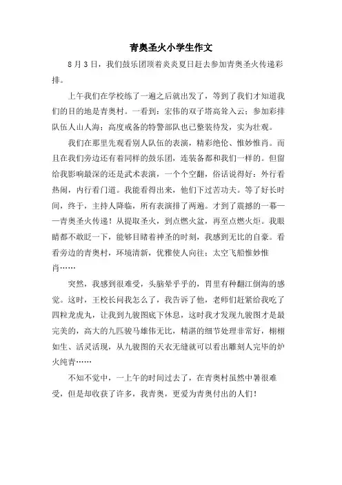 青奥圣火小学生作文