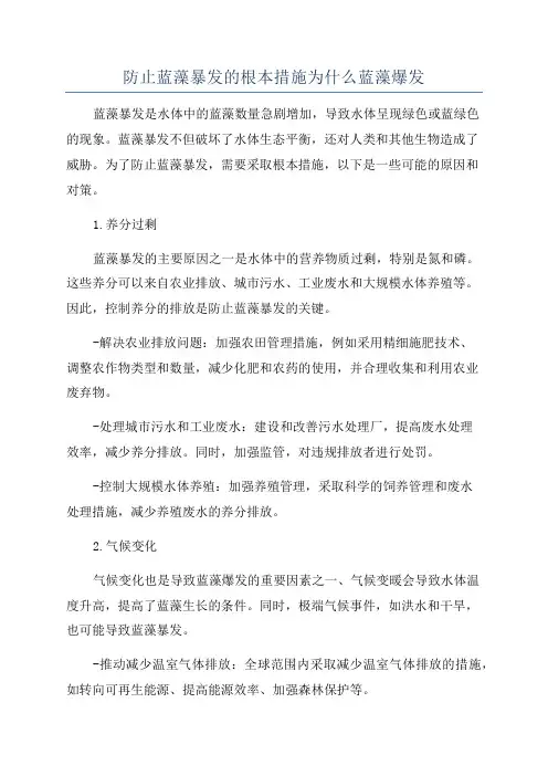 防止蓝藻暴发的根本措施为什么蓝藻爆发