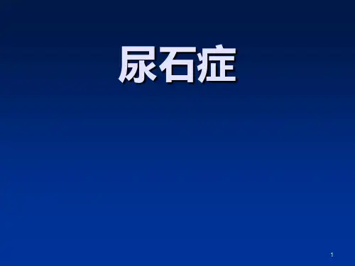 尿石症(泌尿系结石)PPT课件