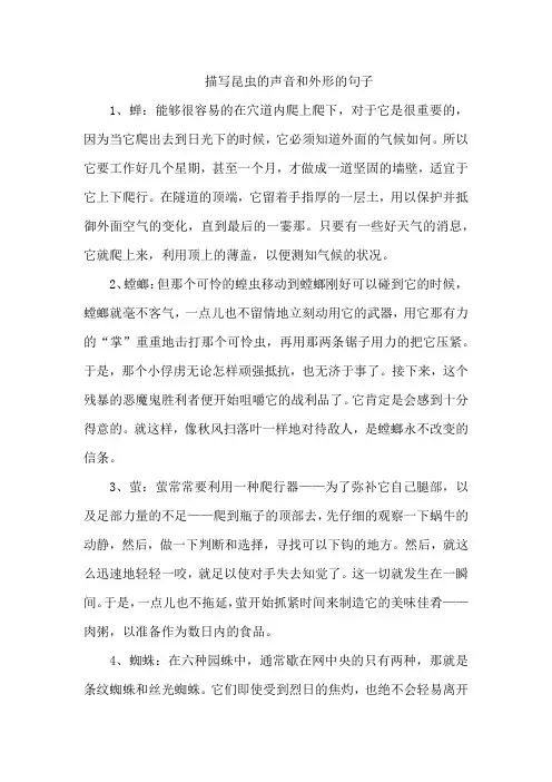 描写昆虫的声音和外形的句子