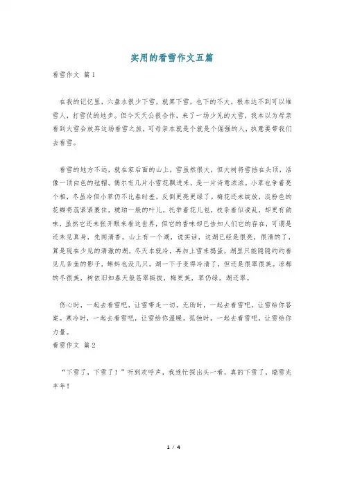 实用的看雪作文五篇