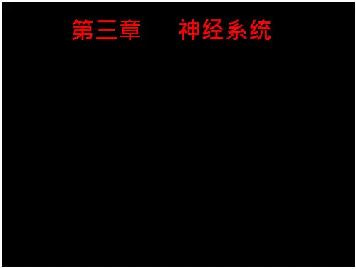 第三章神经系统感觉功能-躯体感觉与感觉分析-