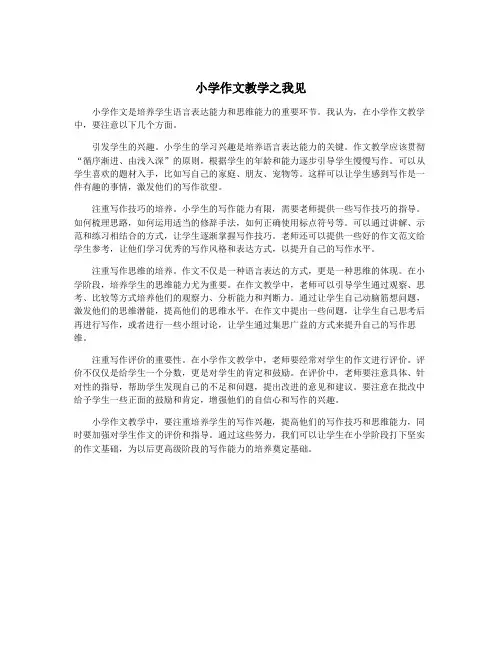 小学作文教学之我见