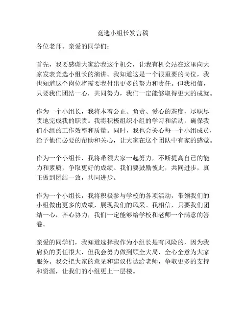竟选小组长发言稿