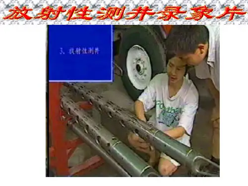 中子测井--CNL-XIAHQ