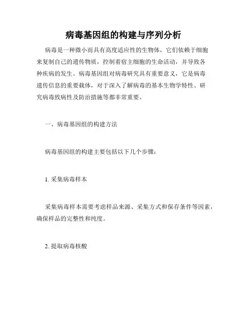 病毒基因组的构建与序列分析
