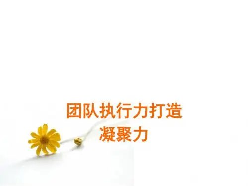 团队执行力与凝聚力打造培训课件(PPT 68张)