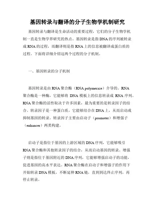 基因转录与翻译的分子生物学机制研究