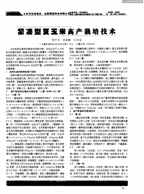 紧凑型夏玉米高产栽培技术