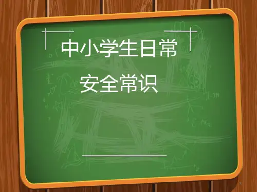 中小学日常安全教育PPT课件