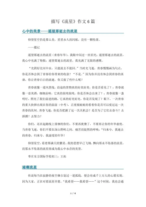 描写《流星》作文6篇