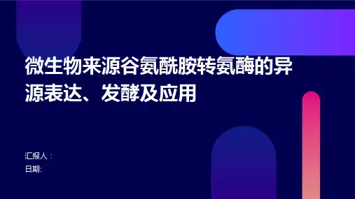 微生物来源谷氨酰胺转氨酶的异源表达、发酵及应用