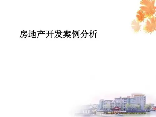 房地产开发案例分析