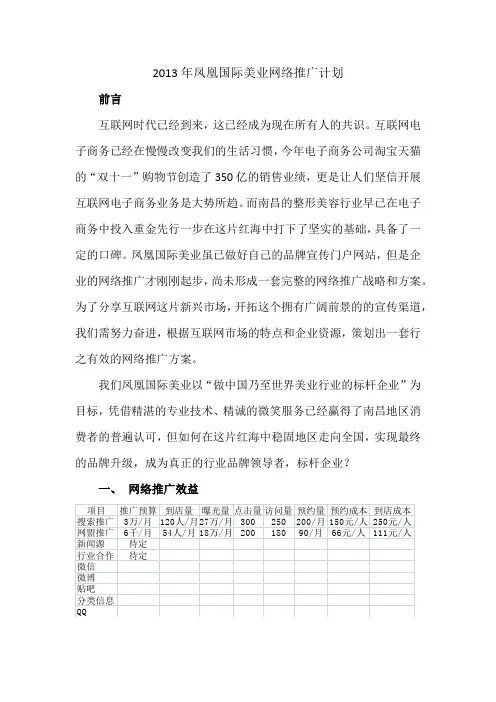 2013年凤凰国际美业网络推广计划