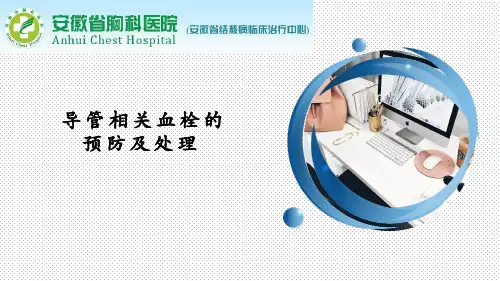 导管相关性血栓的预防及处理ppt课件