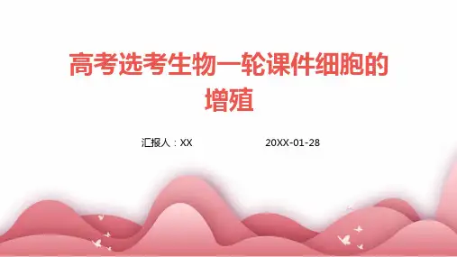 高考选考生物一轮课件细胞的增殖