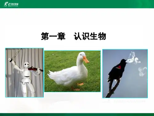 七上第一章第一节 生物的特征（课件ppt）