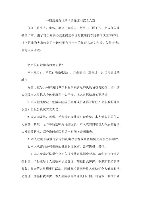 一切后果自行承担的保证书范文六篇