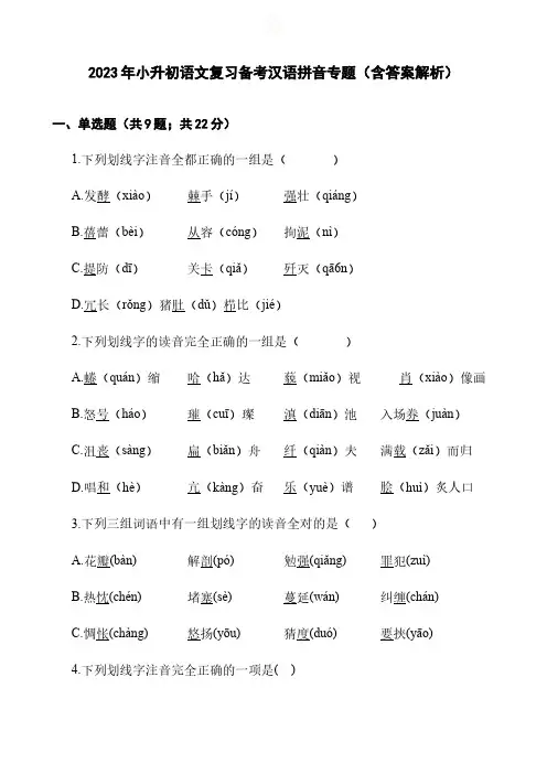 2023年小升初语文复习备考汉语拼音专题含答案解析