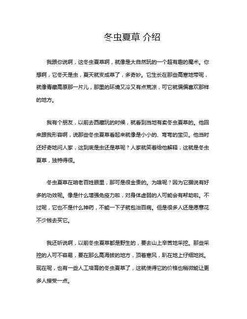 冬虫夏草 介绍