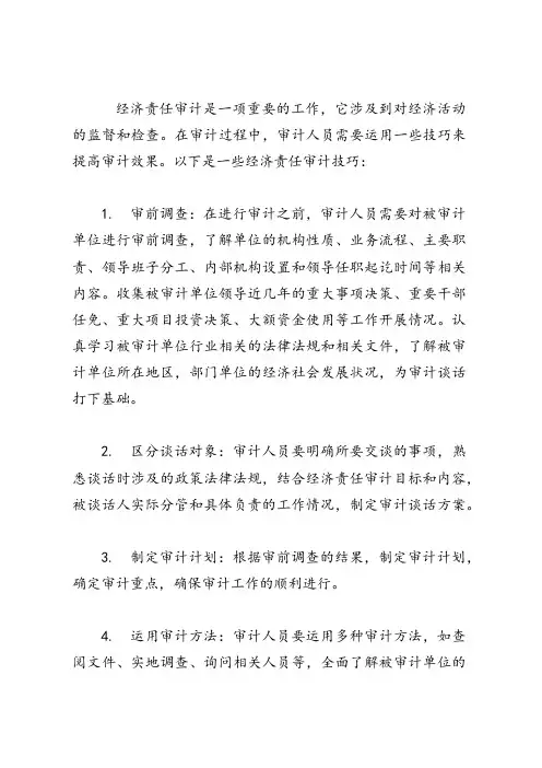 经济责任审计技巧