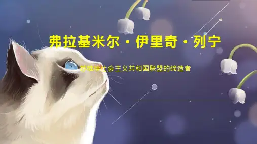 弗拉基米尔 伊里奇 列宁