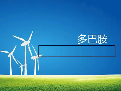 多巴胺PPT课件