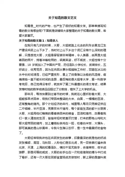 关于知青的散文范文