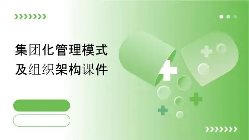 集团化管理模式及组织架构课件