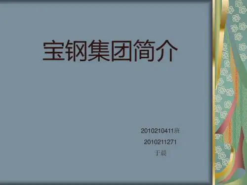 宝钢集团案例分析