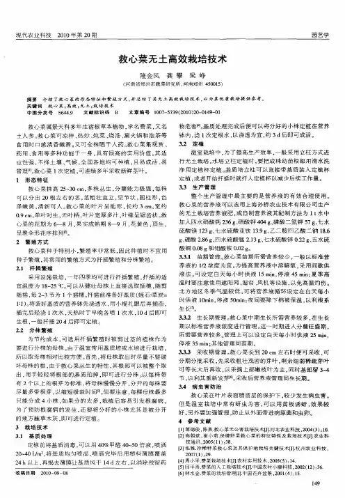 救心菜无土高效栽培技术