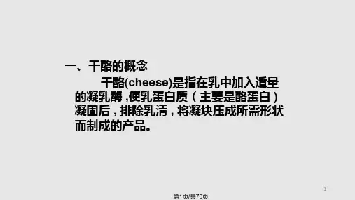 乳品工艺干酪PPT课件