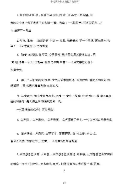 中考满分作文精彩片段赏析