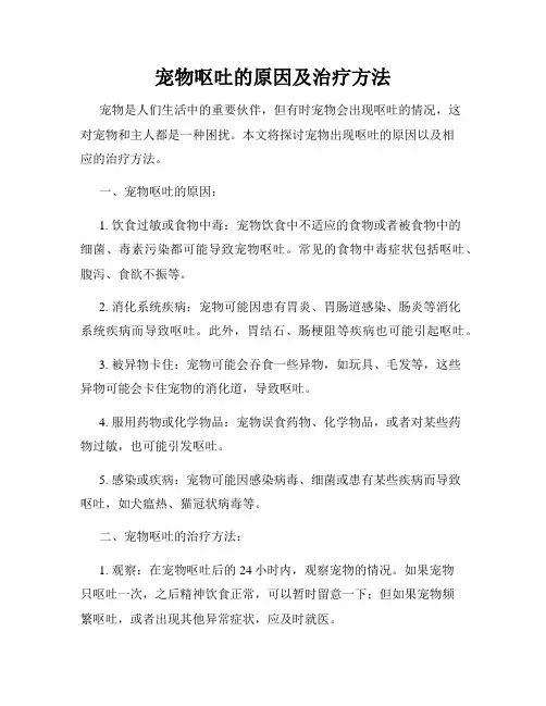 宠物呕吐的原因及治疗方法