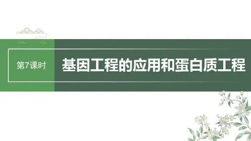 2024届高考一轮复习生物课件(人教版)：基因工程的应用和蛋白质工程