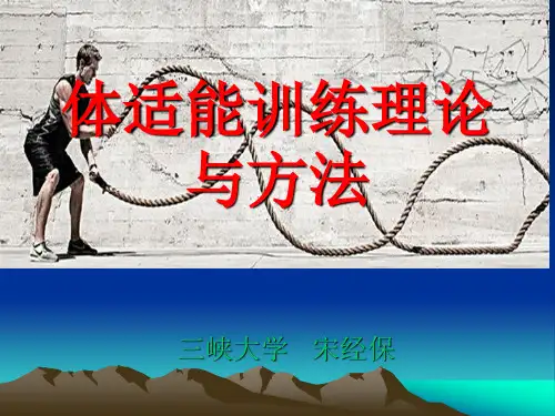 体能训练理论与方法