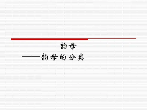 韵母  现代汉语