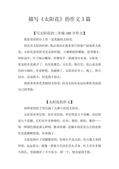 描写《太阳花》的作文3篇