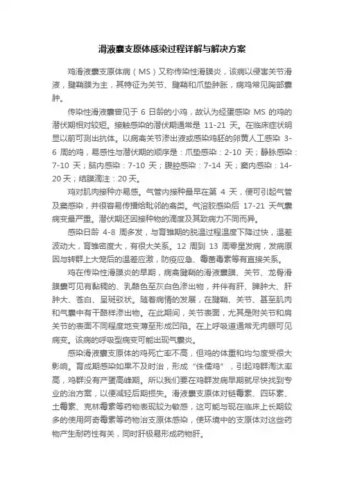 滑液囊支原体感染过程详解与解决方案