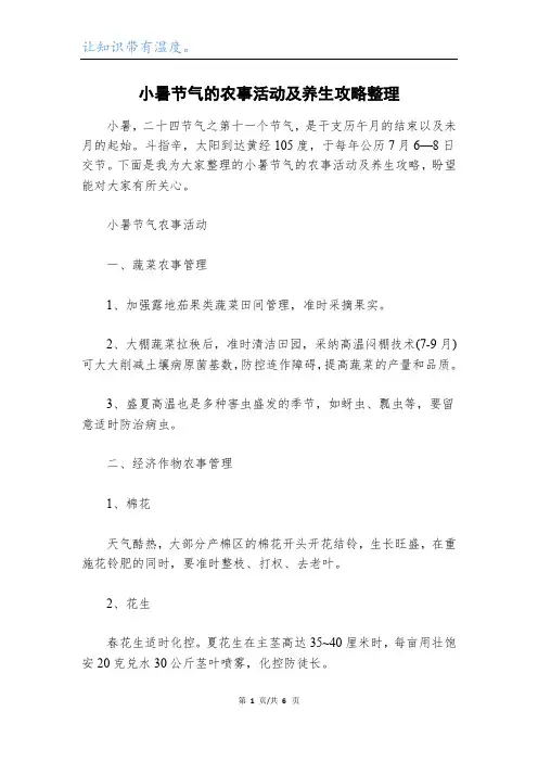 小暑节气的农事活动及养生攻略整理