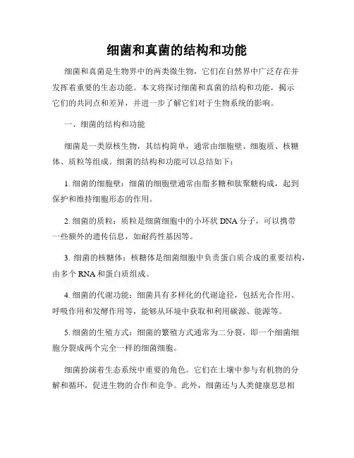 细菌和真菌的结构和功能
